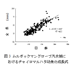 ムルボックマングローブ汽水域におけるチャイロマルハタ幼魚の成長式