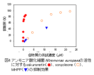 図4　アンモニア酸化細菌Nitromonas europaeaの活性に対するsakuranetin、sorgoleone、MHPPの抑制効果