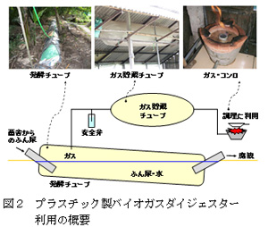 図2　プラスチック製バイオガスダイジェスター利用の概要