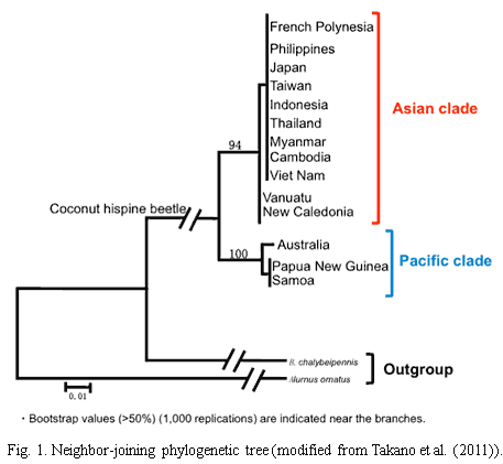 Fig.1. Neighbor-joining phylogenetic tree(modified from Takano et al.(2011))