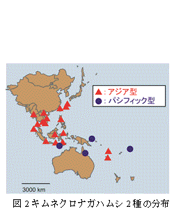 図2　キムネクロナガハムシ2種の分布