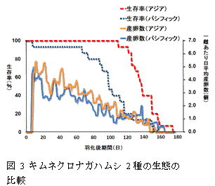 図3　キムネクロナガハムシ2種の生態の比較