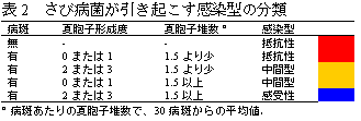 表2　さび病菌が引き起こす感染型の分類