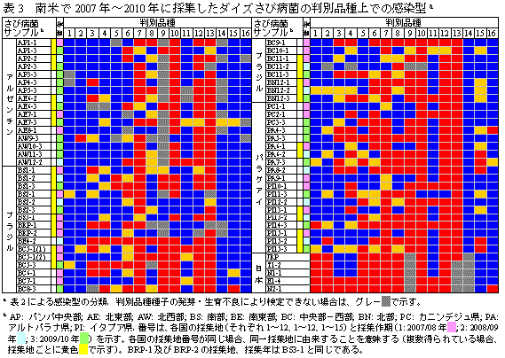 表3　南米で2007年～2010年に採集したダイズさび病菌の判別品種上での感染型