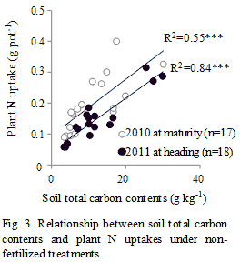 Fig.3. Relationship between soil total carbon contents and plant N uptakes under non-fertilized treatments.