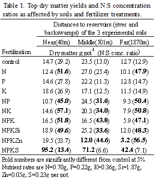 Table 1. Top dry matter yields and N:S concentration ratios as affected by soils and fertilizer treatments.