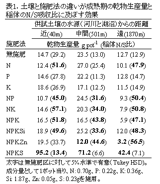 表1.　土壌と施肥法の違いが成熟期の乾物生産量と稲体のN/S吸収比に及ぼす効果