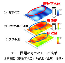 図1　圃場のモニタリング結果