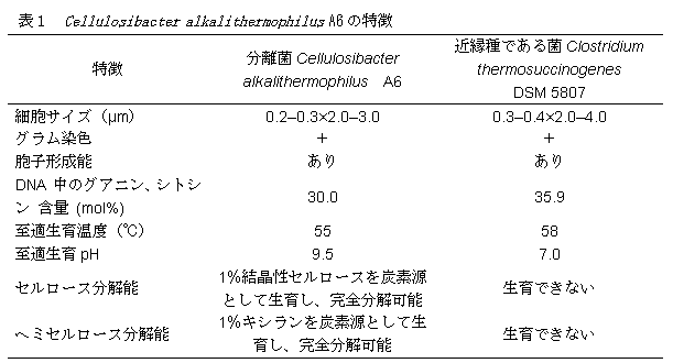 表1　Cellulosibacter alkalithermophilus A6 の特徴