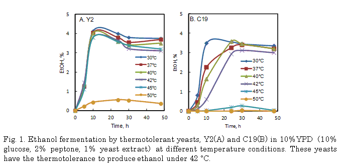 Fig.1. Ethanol fermentation by thermotolerant yeasts, Y2(A) and C19(B) in 10%YPD (10% glucose, 2% peptone, 1% yeast extract) at different temperature conditions.