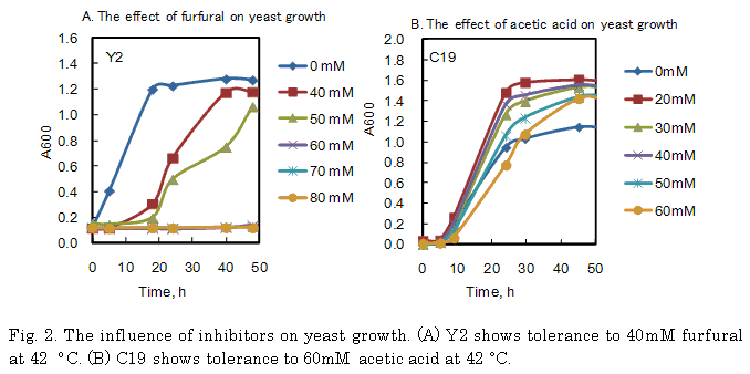 Fig.2. The influence of inhibitors on yeast growth.