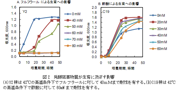 図2　発酵阻害物質が生育に及ぼす影響