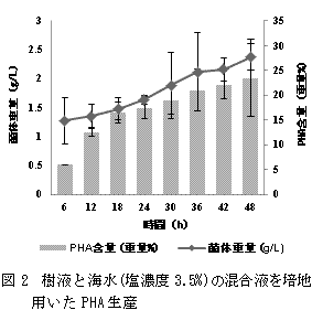 図2　樹液と海水（塩濃度3.5%）の混合液を培地用いたPHA生産