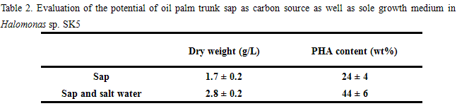 Table 2. Evaluation of the potential of oil palm trunk sap as carbon source as well as sole growth medium in Halomonas sp. SK5