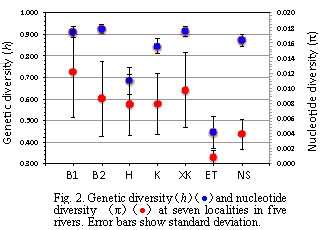 Fig.2. Genetic diversity(h) and nucleotide diversity(π) at seven localities in five rivers. Error bars show standard deviation.