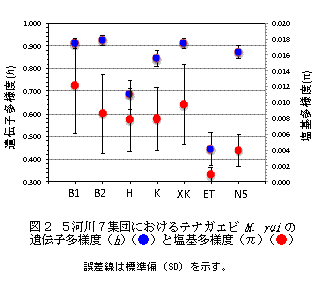 図2　5河川7集団におけるテナガエビM.ruiの遺伝子多様度(h）と塩基多様度（π）