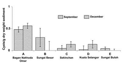 Fig. 4. Comparison of resting cyst (Gymnodinium catenatum) cell densities in surface sediments at each site