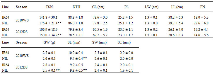 Table 1. Characterization of agronomic traits of IR64 and NIL with qTSN7.1 in the wet season of 2010 and the dry season of 2012.