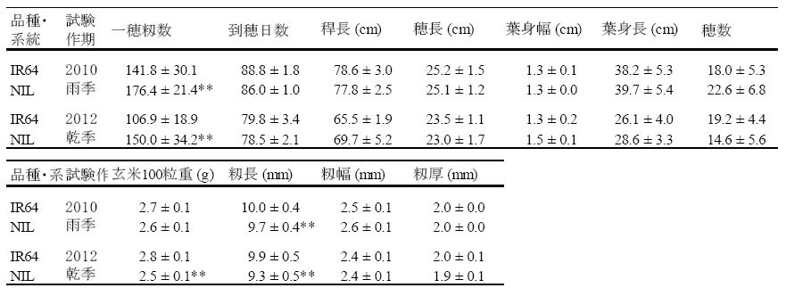 表１ qTSN7.1をIR64の遺伝的背景に導入した準同質遺伝子系統(NIL)における農業形質