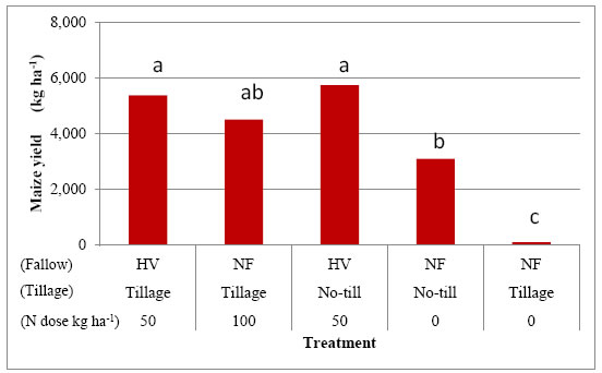 Figure 1 Effects of the treatment combination on maize yield. HV: hairy vetch cropping during fallow period, NF: natural fallow Different alphabets indicate significantly different at 5%.