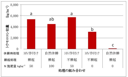 図1 ヘアリーベッチ（HV）作付け、耕起処理および施肥量の組み合わせが トウモロコシ収量に及ぼす影響（３傾斜の平均。異なるアルファベットは5%水準で有意） 