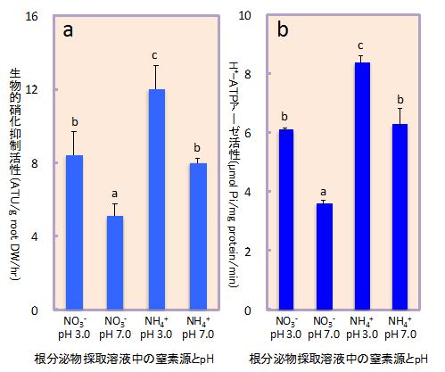 図1 ソルガムの生物的硝化抑制活性（a）および細胞膜H+-ATP アーゼ活性（b）に及ぼす根分泌物採取溶液の窒素源とpHの影響（水耕栽培）