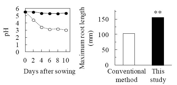 Fig.1. pH maintenance of nutrient solutions (left) and recovery of root elongation (right) in this study (improved method).