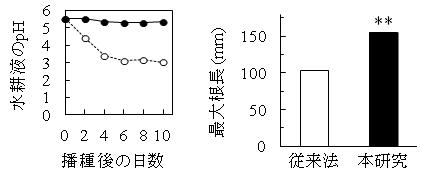 図1 水耕液のpH変化（左）と植物体への生長阻害の解消（右）