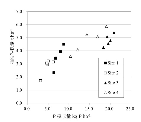 図2 ブルキナファソ産リン鉱石直接施用によるリン吸収量と稲収量の関係 