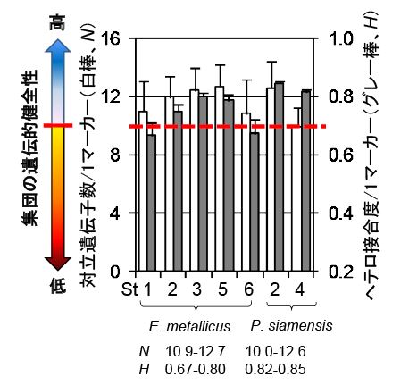 図2 推定された両種の遺伝的多様性レベル