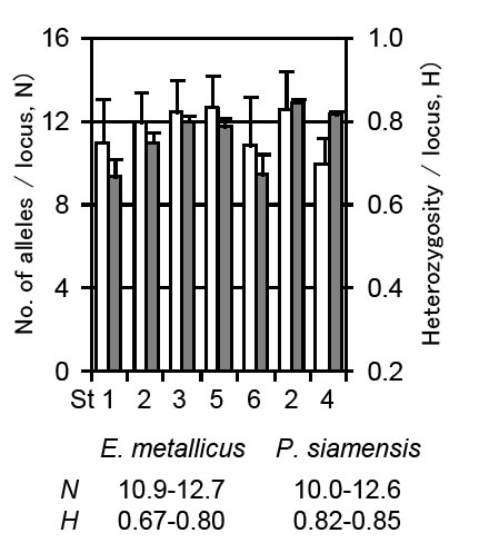 Fig. 2. Genetic diversities of two species based on no. of alleles (white bars) and heterozigosity (grey bars).