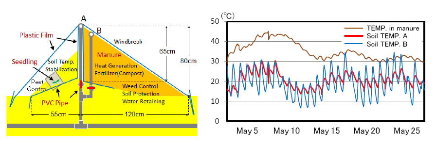 ig. 1.　Multifunctional vegetable cultivation system utilizing dairy manure