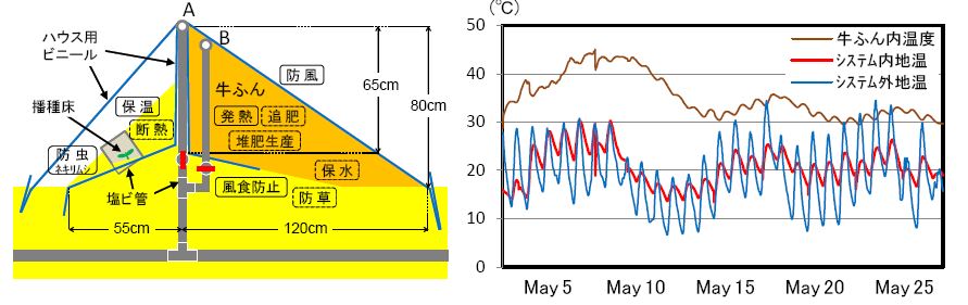 図1 牛ふんの発酵熱等を利用した野菜栽培システムと地温等の推移