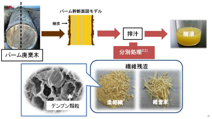 図1 オイルパーム廃棄木からの搾汁液と搾汁後の繊維残渣