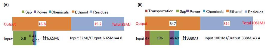 Fig. 2. The energy involved in sap squeezing.