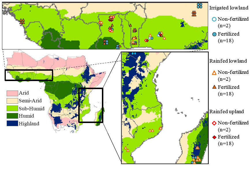 Fig. 1 Location of the 99 farmers fields in for plant and soil samples across SSA