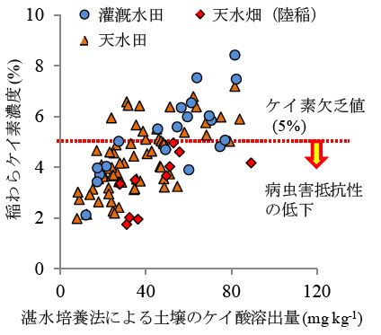 図2 土壌のケイ酸溶出量と稲わらケイ素濃度との関係