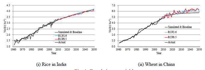 Fig. 2. Trends in crop yield