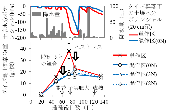 図1 Nampulaにおけるダイズ群落下の土壌水分ポテンシャル（上）とダイズ個体乾物重（下）の推移比較 