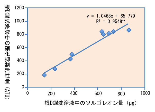 図2 ソルガムの根からのジクロロメタン（DCM）洗浄液中のソレゴレオン量と硝化抑制活性量との関係