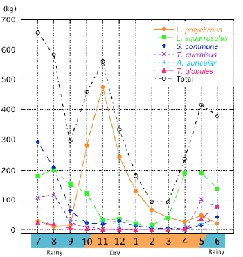 Fig. 1. Monthly collection for each type of mushroom