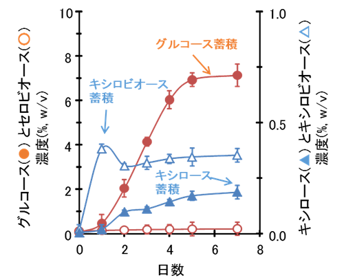 図3 BSES法によるアルカリ前処理稲わらからのグルコース・キシロース生産