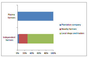 Fig. 4. Source of oil palm seedlings (Company A case study) Number of respondents: 27 plasma farmers and 25 independent farmers