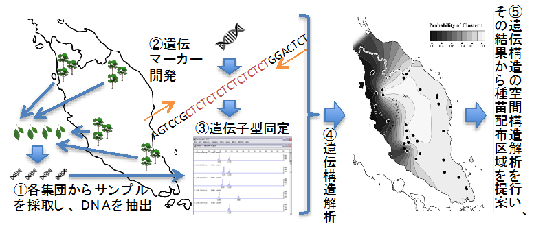 図1 種苗配布区域を提案するための解析の流れ（1〜5）