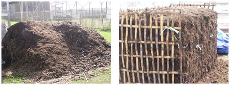 Fig. 1. Horse manure production