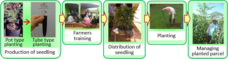 Fig. 1.　The Reforestation Promotion Method