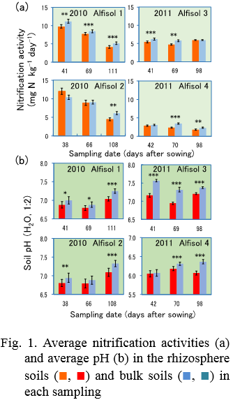 Fig. 1. Average nitrification activities (a) and average pH (b) in the rhizosphere soils (■, ■) and bulk soils (■, ■) in each sampling