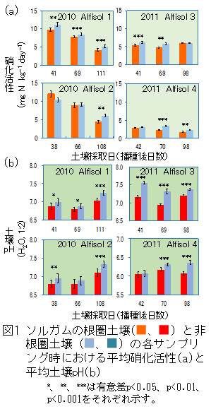 図1 ソルガムの根圏土壌と非根圏土壌の各サンプリング時における平均硝化活性(a)と平均土壌pH(b)