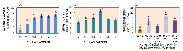 図1 ソルガム根から分泌される硝化抑制物質の採取時においてアンモニウム(NH4+)がその分泌(a)と細胞膜H+-ATPアーゼ活性(b)に及ぼす影響、及びATPアーゼ阻害剤バナテートの添加が及ぼす影響(c)