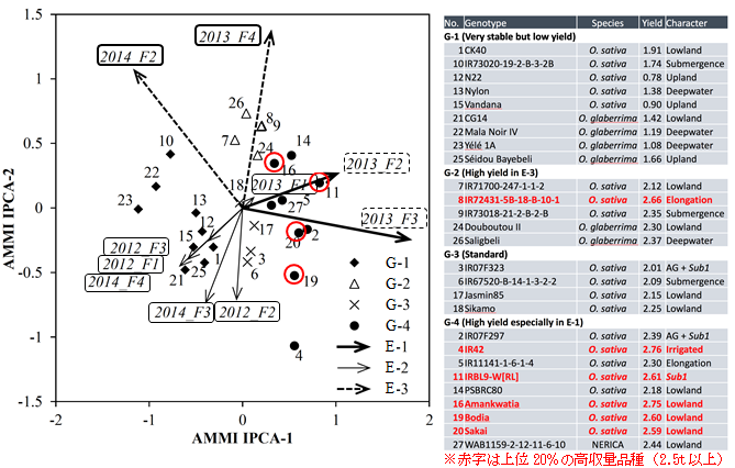 図2 AMMI分析による各品種の環境適応特性